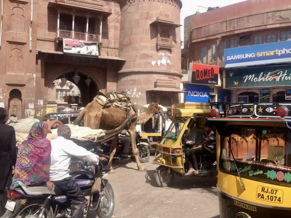 India by train: traffic in Bikaner
