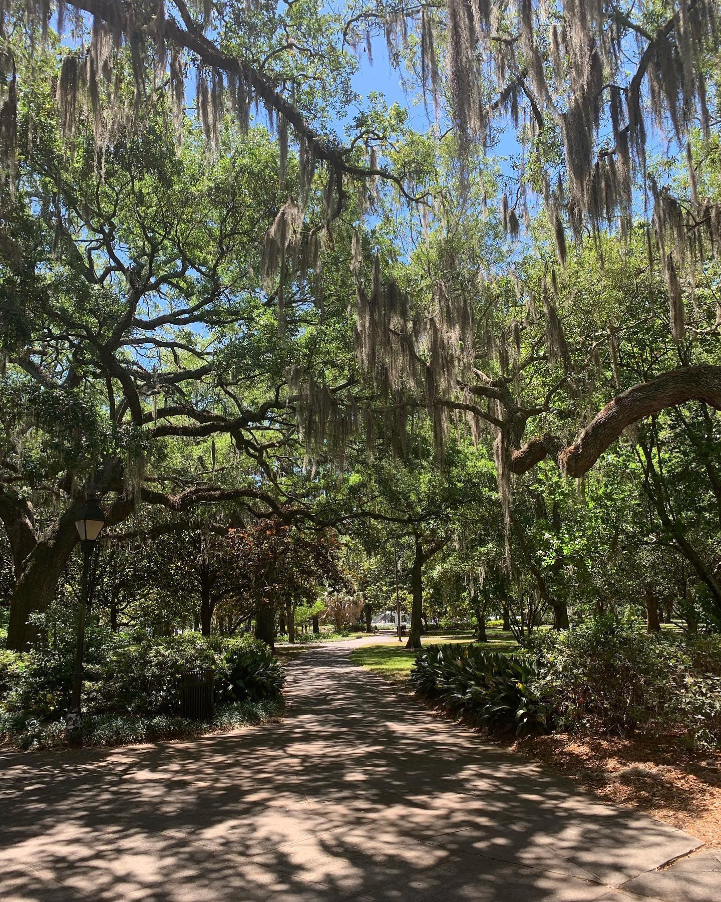 Charleston SC to Savannah GA - Road Trip to Key West | Day 6 | You Are ...